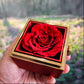 To My Daughter - From Dad - Rotating Rose Box Necklace Gift Set SS#27